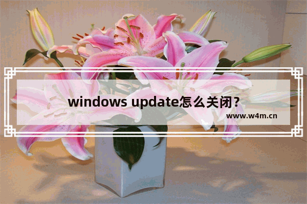 windows update怎么关闭？