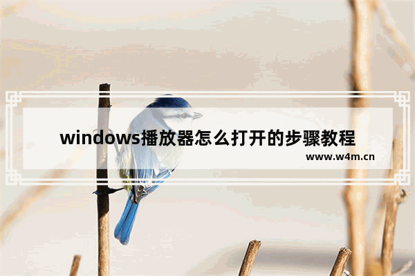 windows播放器怎么打开的步骤教程