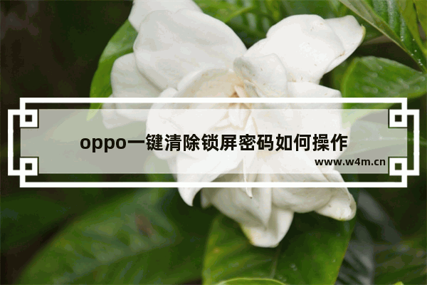 oppo一键清除锁屏密码如何操作