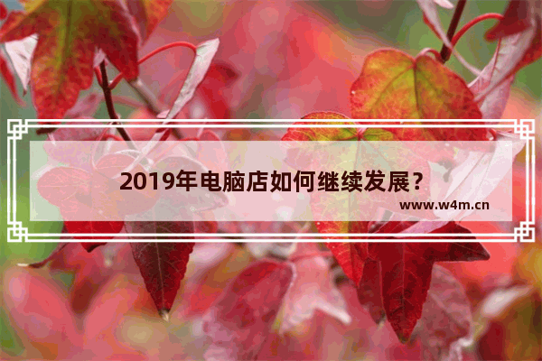 2019年电脑店如何继续发展？