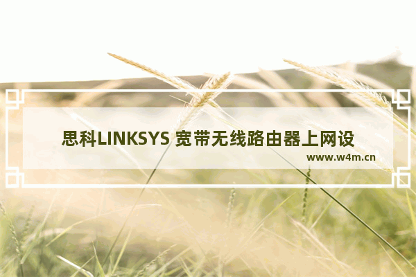 思科LINKSYS 宽带无线路由器上网设置介绍方法