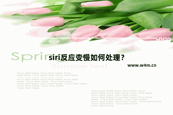 siri反应变慢如何处理？