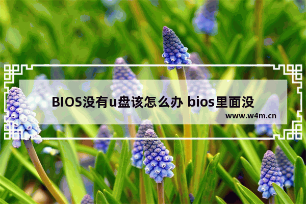 BIOS没有u盘该怎么办 bios里面没有u盘启动怎么办