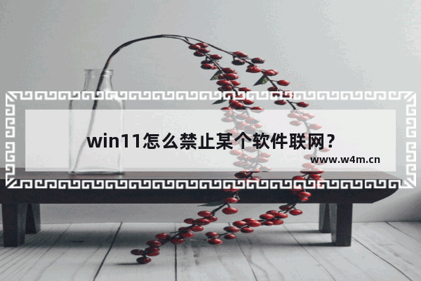 win11怎么禁止某个软件联网？