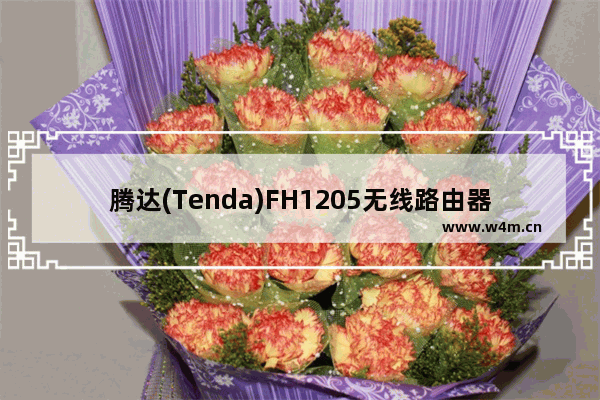 腾达(Tenda)FH1205无线路由器设置宽带连接上网