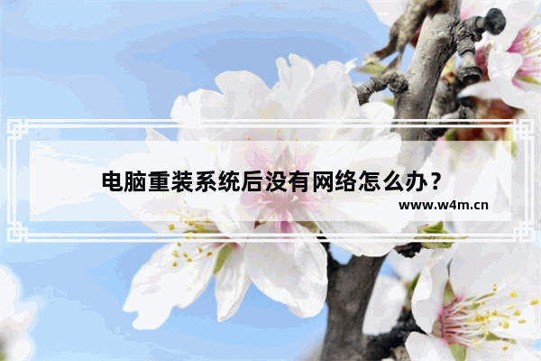 电脑重装系统后没有网络怎么办？