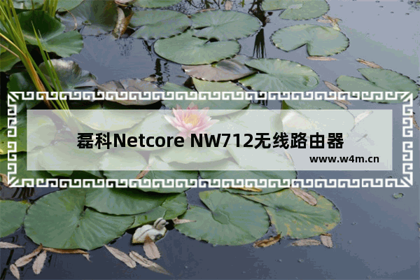 磊科Netcore NW712无线路由器怎么设置图文方法