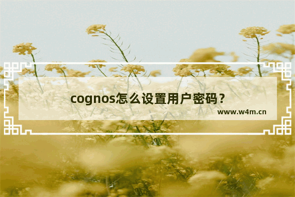 cognos怎么设置用户密码？