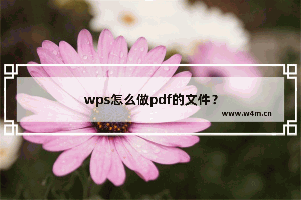 wps怎么做pdf的文件？