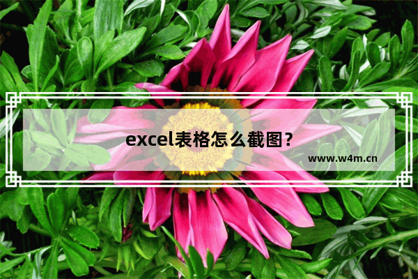 excel表格怎么截图？