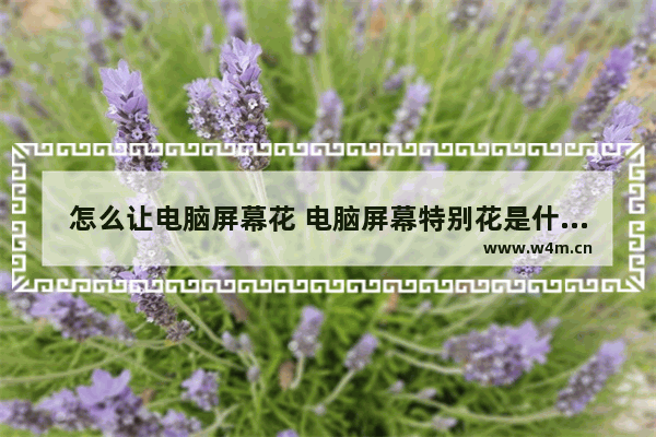 怎么让电脑屏幕花 电脑屏幕特别花是什么情况