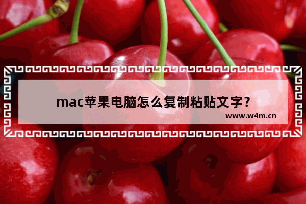 mac苹果电脑怎么复制粘贴文字？