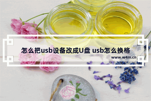 怎么把usb设备改成U盘 usb怎么换格式