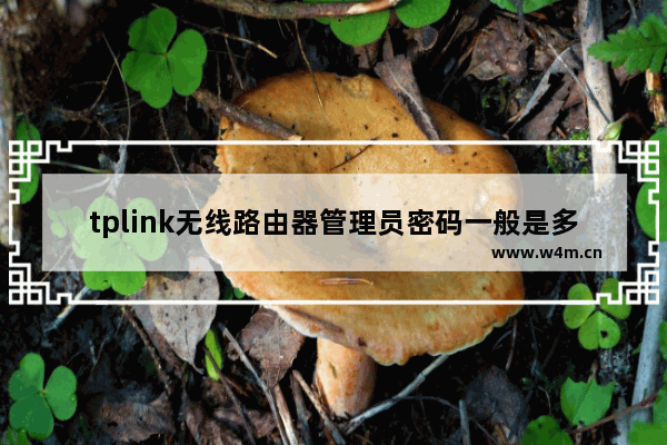 tplink无线路由器管理员密码一般是多少