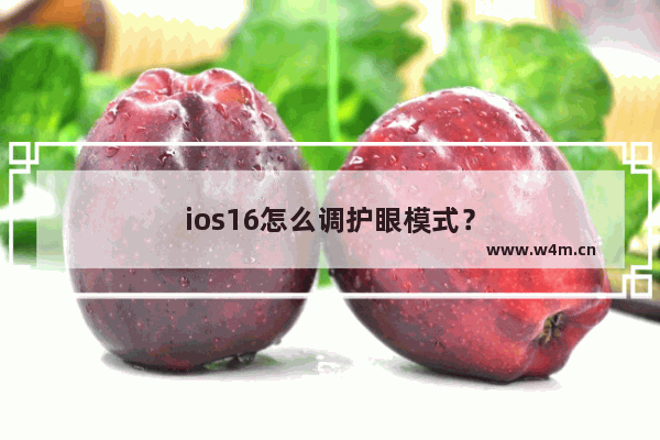 ios16怎么调护眼模式？