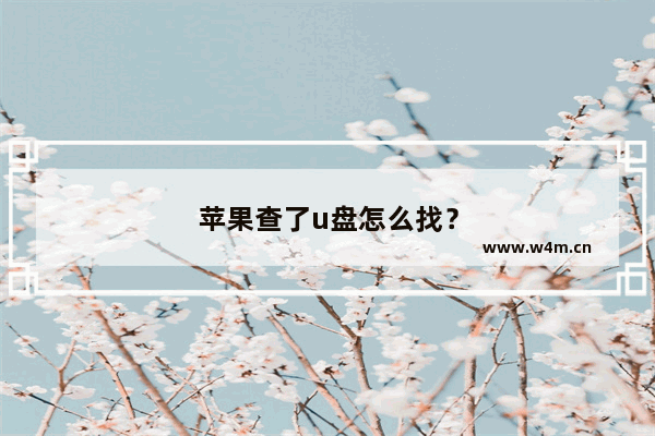 苹果查了u盘怎么找？