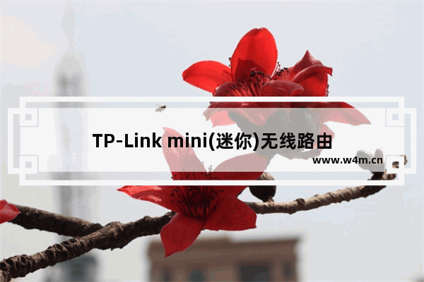 TP-Link mini(迷你)无线路由器Router模式设置上网