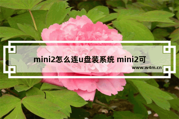 mini2怎么连u盘装系统 mini2可以连接蓝牙耳机吗