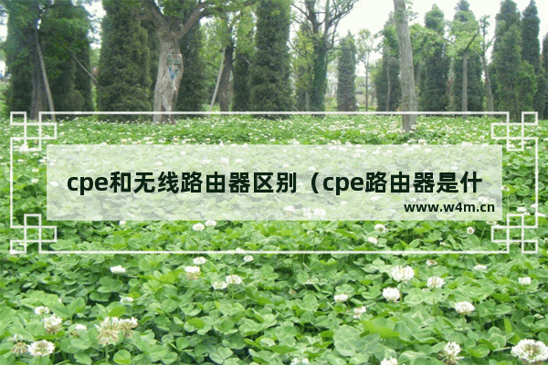 cpe和无线路由器区别（cpe路由器是什么意思）