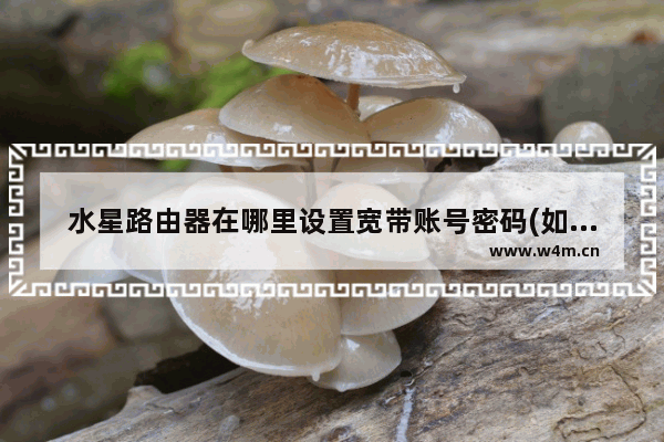 水星路由器在哪里设置宽带账号密码(如何设置水星无线路由器密码)