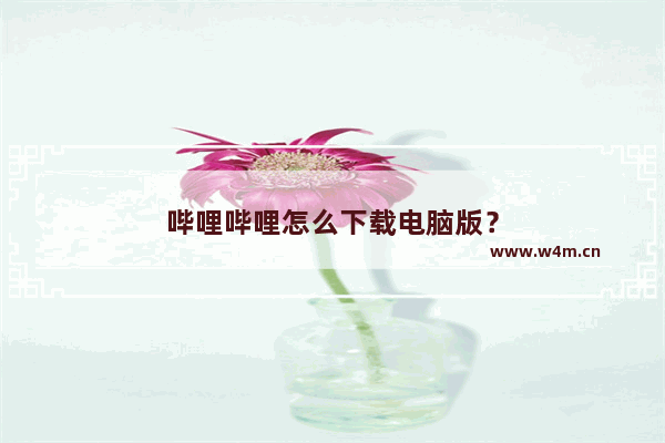 哔哩哔哩怎么下载电脑版？