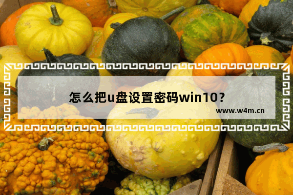 怎么把u盘设置密码win10？