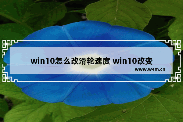 win10怎么改滑轮速度 win10改变滚轮方向