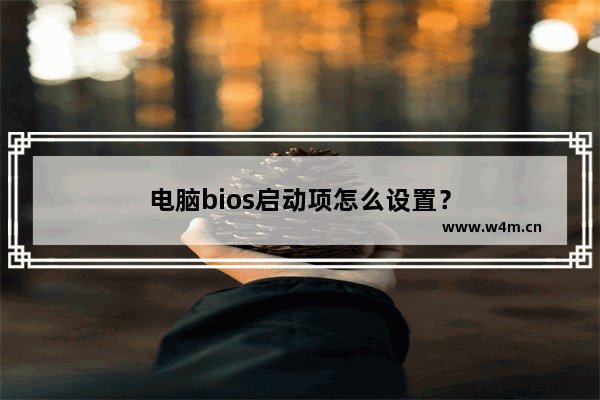 电脑bios启动项怎么设置？