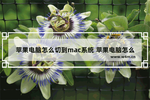 苹果电脑怎么切到mac系统 苹果电脑怎么切到mac系统桌面