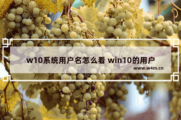 w10系统用户名怎么看 win10的用户名怎么看