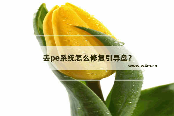 去pe系统怎么修复引导盘？