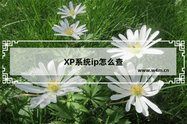 XP系统ip怎么查