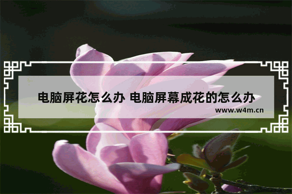 电脑屏花怎么办 电脑屏幕成花的怎么办