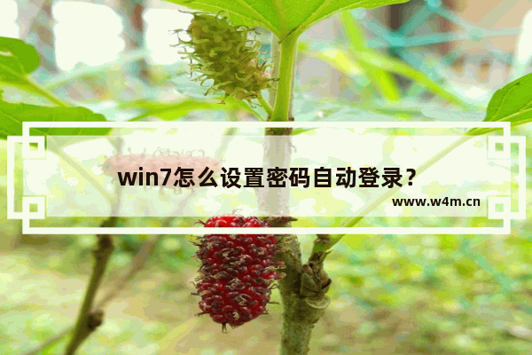 win7怎么设置密码自动登录？