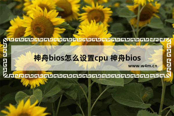 神舟bios怎么设置cpu 神舟bios怎么设置硬盘为第一启动盘