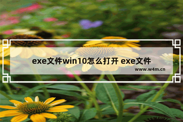 exe文件win10怎么打开 exe文件电脑怎么打开win10