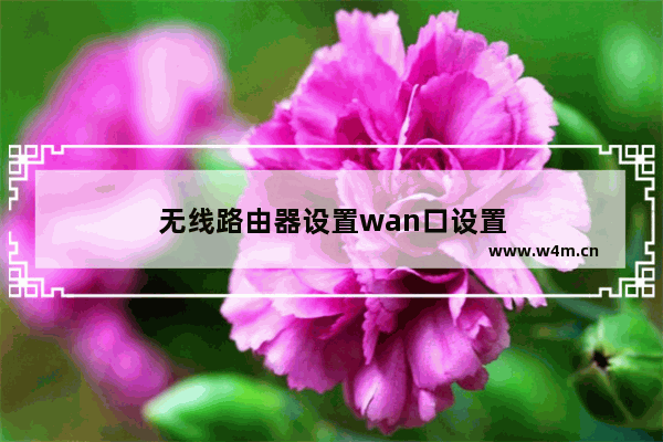 无线路由器设置wan口设置