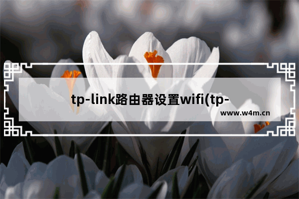 tp-link路由器设置wifi(tp-link无线路由器怎么设置)