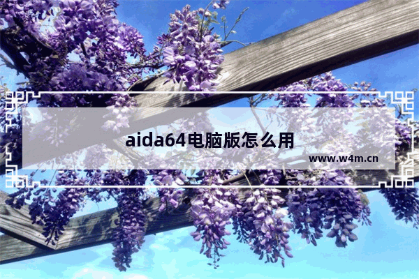 aida64电脑版怎么用