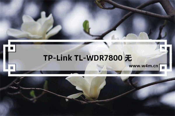 TP-Link TL-WDR7800 无线路由器网速限制