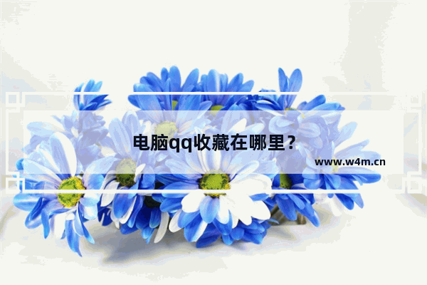 电脑qq收藏在哪里？