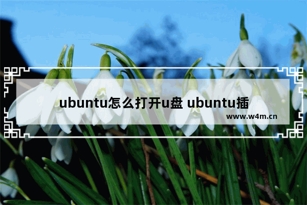 ubuntu怎么打开u盘 ubuntu插u盘在哪个目录