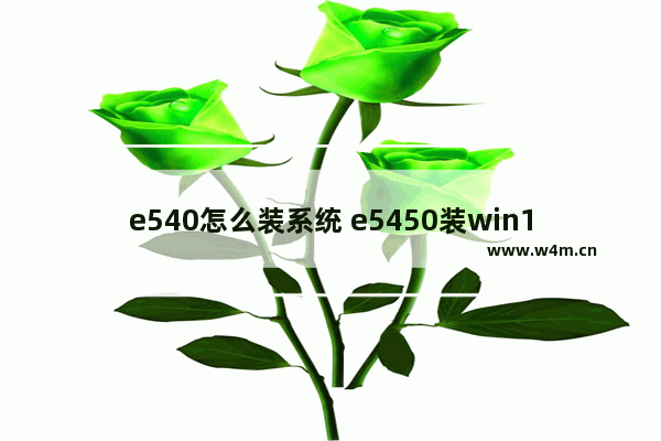 e540怎么装系统 e5450装win10