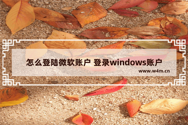 怎么登陆微软账户 登录windows账户