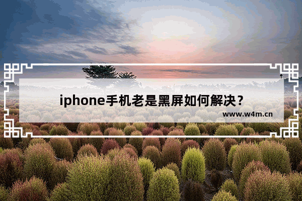 iphone手机老是黑屏如何解决？