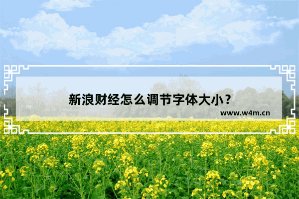 新浪财经怎么调节字体大小？