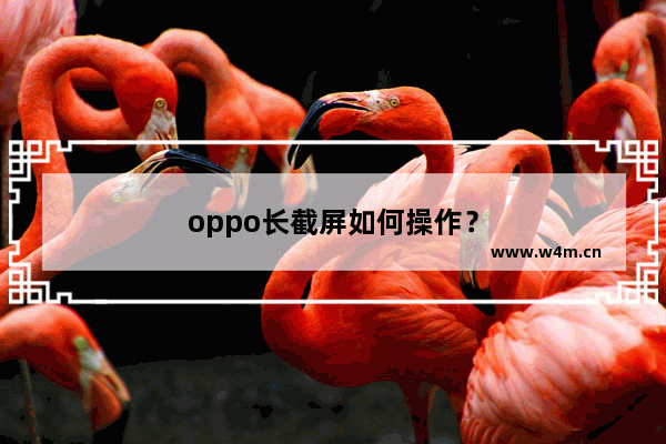 oppo长截屏如何操作？