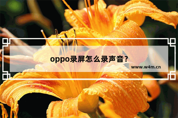 oppo录屏怎么录声音？