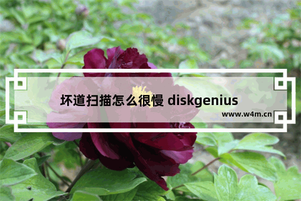 坏道扫描怎么很慢 diskgenius 坏道扫描