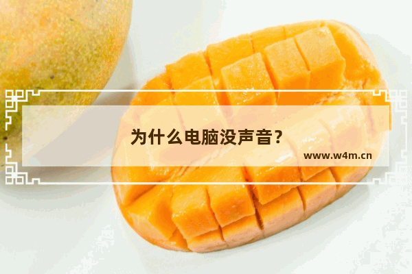 为什么电脑没声音？